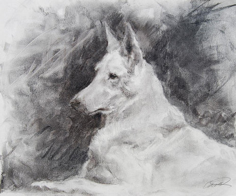 White Shepherd in Grey Black Ornate Wood Framed Art Print with Double Matting by Campbell, Robert