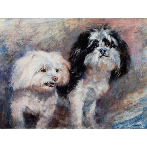 Fuzzy Friends Black Modern Wood Framed Art Print with Double Matting by Campbell, Robert