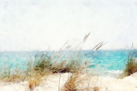 Coastal Series #10 Black Ornate Wood Framed Art Print with Double Matting by Curinga, Kim