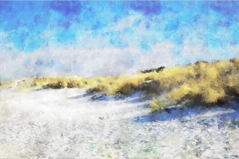 Coastal Series #20 Black Ornate Wood Framed Art Print with Double Matting by Curinga, Kim