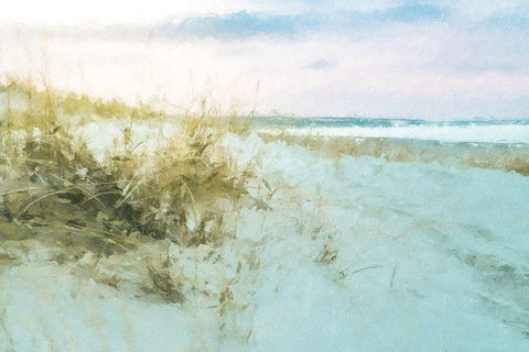 Coastal Series #23 Black Ornate Wood Framed Art Print with Double Matting by Curinga, Kim