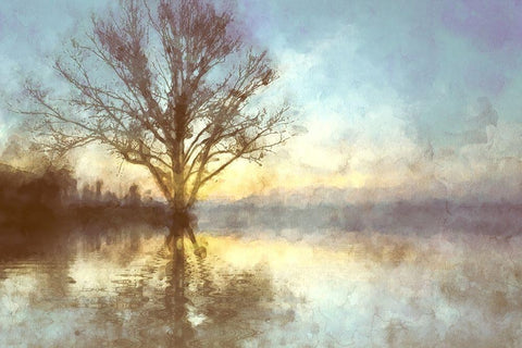 Misty Series #6 Black Ornate Wood Framed Art Print with Double Matting by Curinga, Kim