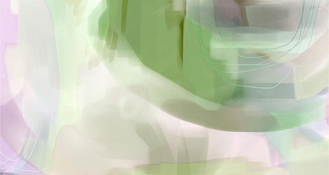 Fading Away Black Ornate Wood Framed Art Print with Double Matting by Naskrent, Delores