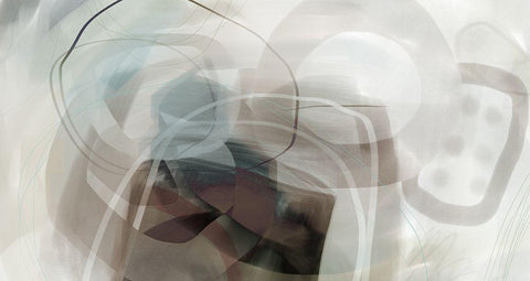 Pearl in the Mist Black Ornate Wood Framed Art Print with Double Matting by Naskrent, Delores