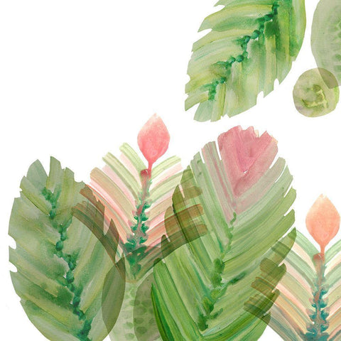 Flowering Cactus II White Modern Wood Framed Art Print by Kouta, Flora