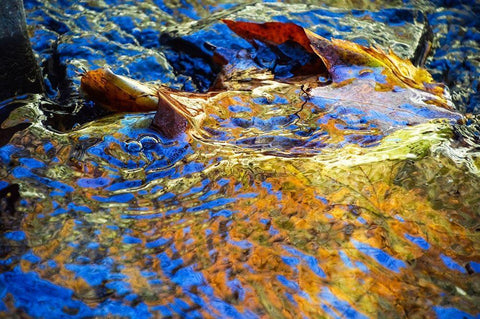 Anagha Black Ornate Wood Framed Art Print with Double Matting by Cooper, Helena