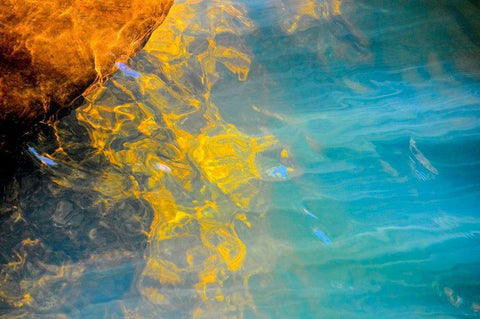 Blazing Star Black Ornate Wood Framed Art Print with Double Matting by Cooper, Helena