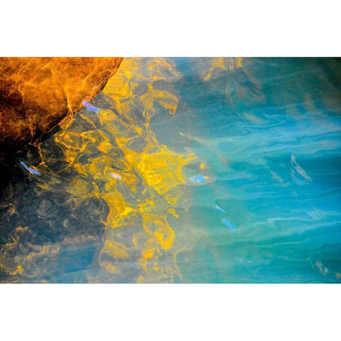 Blazing Star Black Modern Wood Framed Art Print by Cooper, Helena