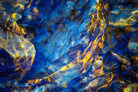 Blue Velvet Black Ornate Wood Framed Art Print with Double Matting by Cooper, Helena