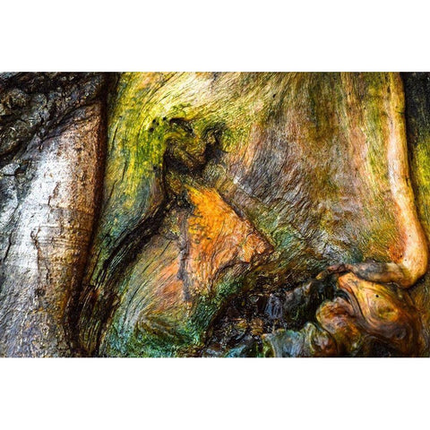 Dionysus Black Modern Wood Framed Art Print with Double Matting by Cooper, Helena