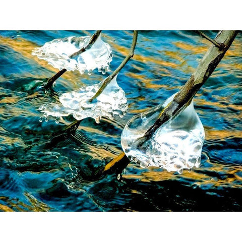 Prosperity White Modern Wood Framed Art Print by Cooper, Helena