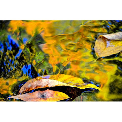 Restful Black Modern Wood Framed Art Print by Cooper, Helena