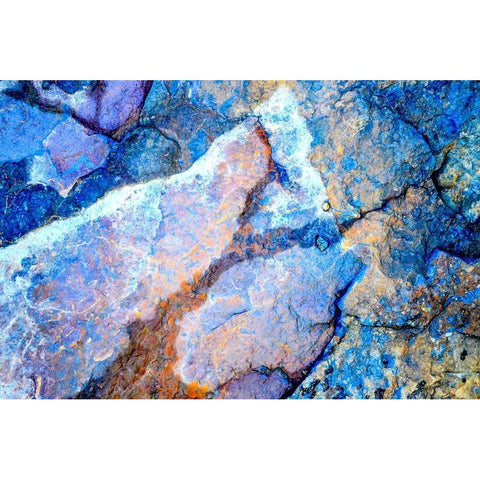 Tracking Black Modern Wood Framed Art Print by Cooper, Helena