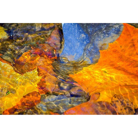 Undulations White Modern Wood Framed Art Print by Cooper, Helena