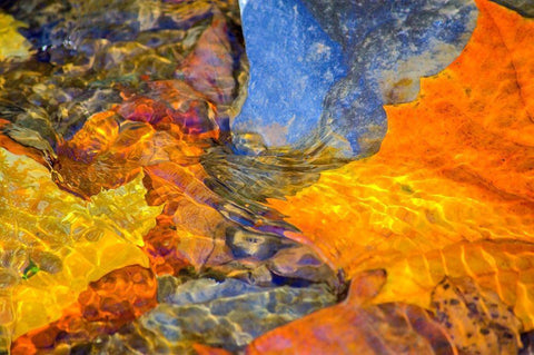 Undulations Black Ornate Wood Framed Art Print with Double Matting by Cooper, Helena