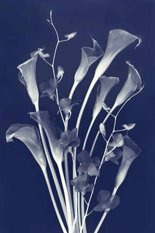 New Friends in Indigo White Modern Wood Framed Art Print with Double Matting by Robertson, Leda