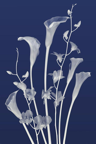 Freiends Forever in Indigo White Modern Wood Framed Art Print with Double Matting by Robertson, Leda