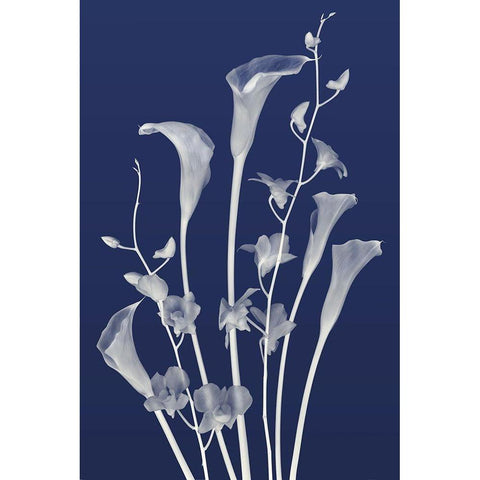 Freiends Forever in Indigo White Modern Wood Framed Art Print by Robertson, Leda