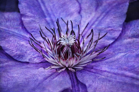 Inner Workings II White Modern Wood Framed Art Print with Double Matting by Robertson, Leda