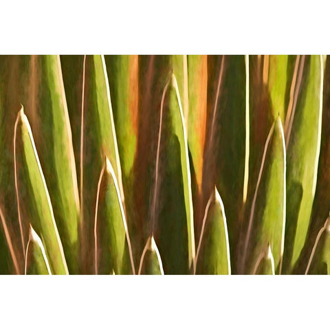 Desert Growth Black Modern Wood Framed Art Print with Double Matting by Robertson, Leda