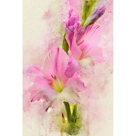 Blessings in Bloom Black Modern Wood Framed Art Print by Robertson, Leda