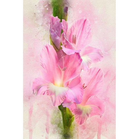 Flowering Trifecta Gold Ornate Wood Framed Art Print with Double Matting by Robertson, Leda