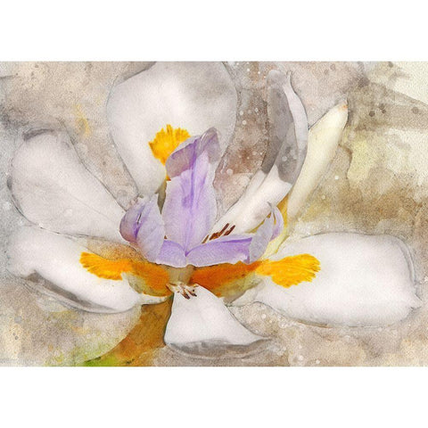 Blooming into Abstraction Gold Ornate Wood Framed Art Print with Double Matting by Robertson, Leda