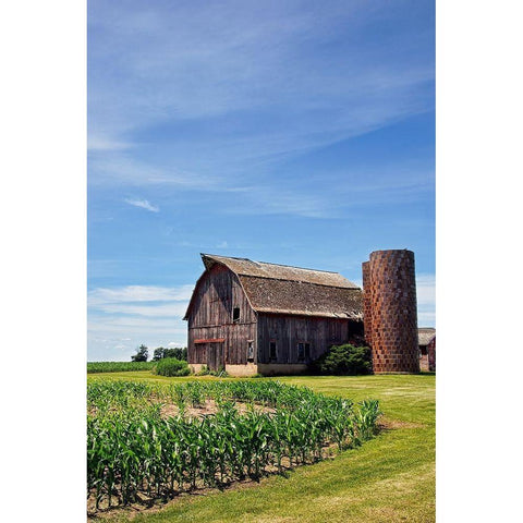 Old Brown Barn Gold Ornate Wood Framed Art Print with Double Matting by Robertson, Leda