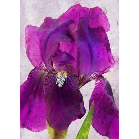 Natures Disarray White Modern Wood Framed Art Print by Robertson, Leda