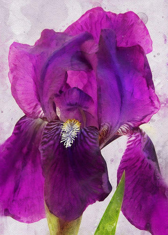 Natures Disarray White Modern Wood Framed Art Print with Double Matting by Robertson, Leda