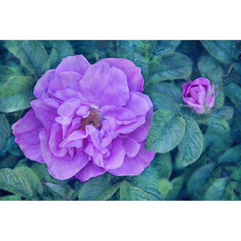 Moment of Beauty White Modern Wood Framed Art Print by Robertson, Leda