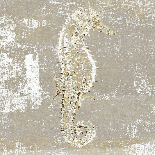 Image Only