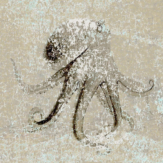 Image Only