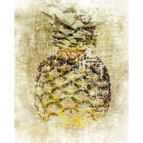 Ananas V Black Modern Wood Framed Art Print with Double Matting by Aryai, Sia