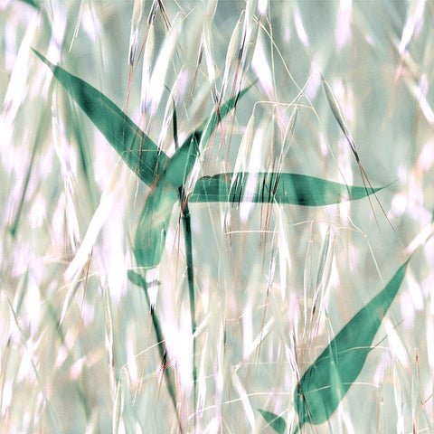 Flourish X Black Modern Wood Framed Art Print with Double Matting by Aryai, Sia