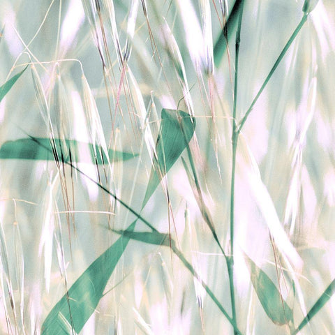 Flourish XII Gold Ornate Wood Framed Art Print with Double Matting by Aryai, Sia