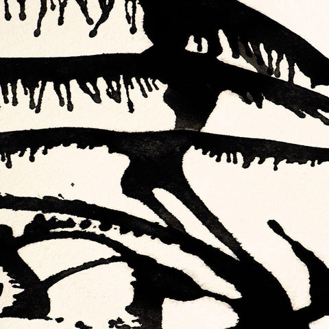 Largo 104 Black Ornate Wood Framed Art Print with Double Matting by Aryai, Sia