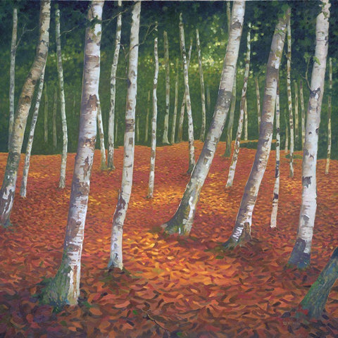 Sunshine and Shadow Black Modern Wood Framed Art Print by Reynolds, Graham