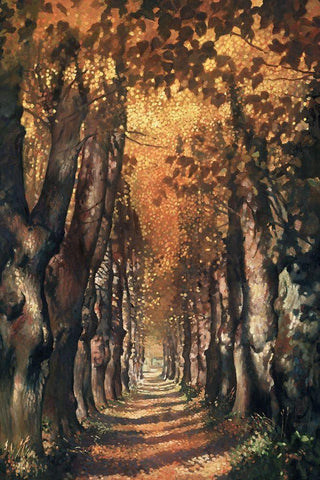 Lovers Lane White Modern Wood Framed Art Print with Double Matting by Reynolds, Graham