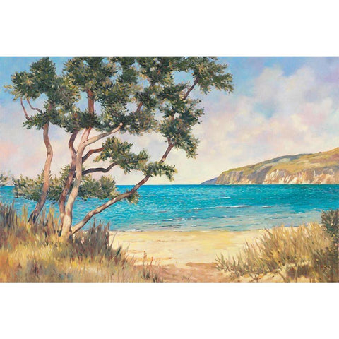 On the Beach I Gold Ornate Wood Framed Art Print with Double Matting by Reynolds, Graham