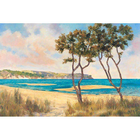 On the Beach II Gold Ornate Wood Framed Art Print with Double Matting by Reynolds, Graham