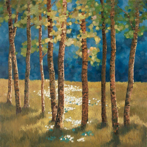 Secret Glade Black Modern Wood Framed Art Print with Double Matting by Reynolds, Graham