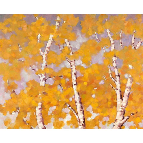 Soft Breeze Black Modern Wood Framed Art Print with Double Matting by Reynolds, Graham