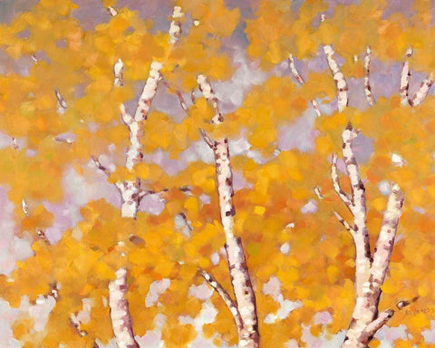 Soft Breeze White Modern Wood Framed Art Print with Double Matting by Reynolds, Graham