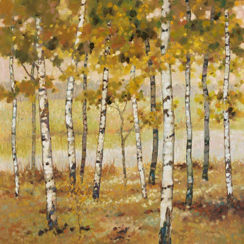 Brookside Black Modern Wood Framed Art Print with Double Matting by Reynolds, Graham