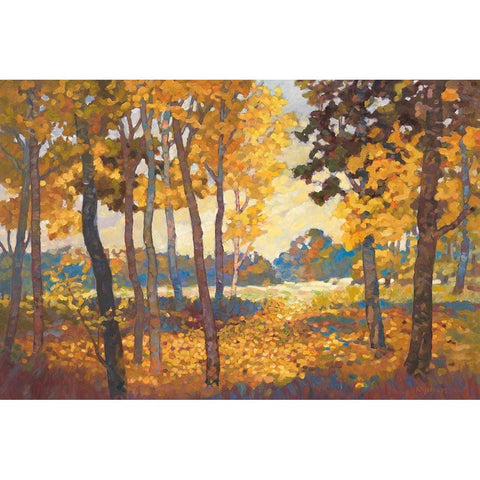 Windstill I White Modern Wood Framed Art Print by Reynolds, Graham