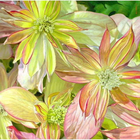 Come Fly With Me Black Modern Wood Framed Art Print with Double Matting by Montana, Enzo