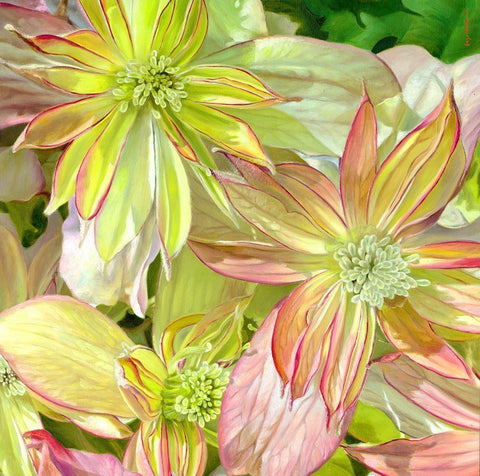 Come Fly With Me White Modern Wood Framed Art Print with Double Matting by Montana, Enzo