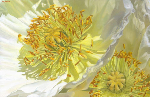 Do You Believe In Magic White Modern Wood Framed Art Print with Double Matting by Montana, Enzo