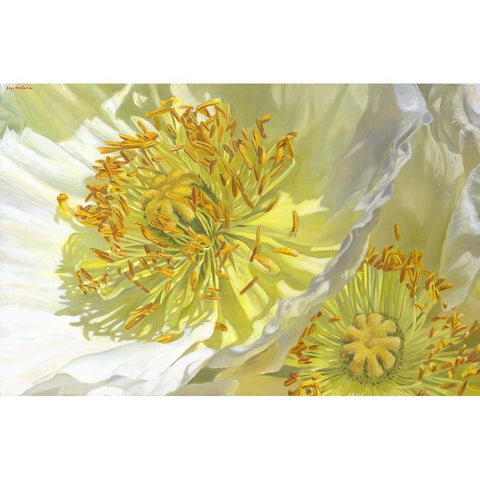 Do You Believe In Magic Gold Ornate Wood Framed Art Print with Double Matting by Montana, Enzo